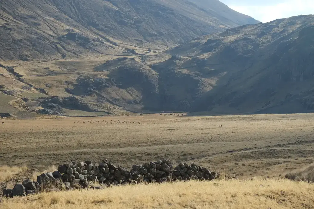 Two people walk through a field in Tuco one afternoon in early September. Photo by Dan Schwartz. Peru, 2019. Two people walk through a field in Tuco one afternoon in early September. Photo by Dan Schwartz. Peru, 2019.