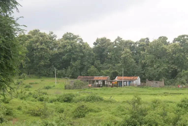 A house in the core zone of Kawal Tiger Reserve, in the state of Telangana. Image by Vandana Menon. India, 2019. A house in the core zone of Kawal Tiger Reserve, in the state of Telangana. Image by Vandana Menon. India, 2019.