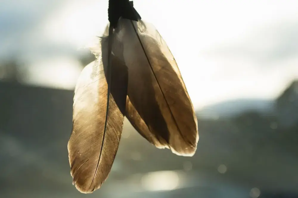 Image by Daniella Zalcman.