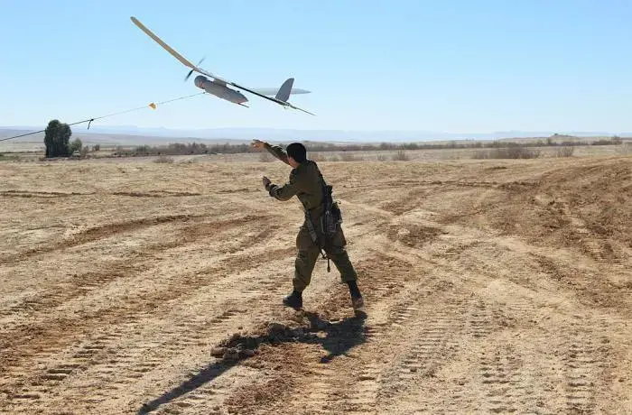 Media file: idfskylark.jpg