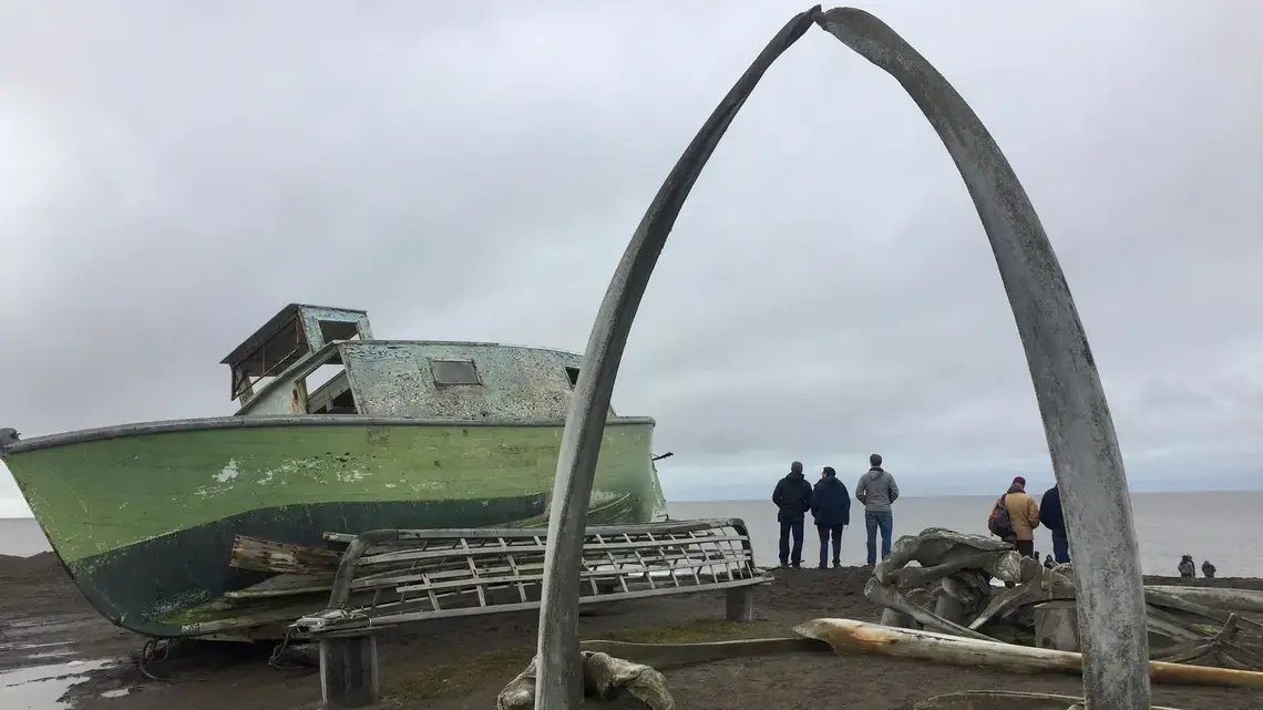 Bowhead whale bones form an arch on the beach near in the Iñupiaq community of Utqiagvik, Alaska, once known as Barrow. Whales have been a crucial food source along the harsh and isolated Arctic coast for millenia. Image by Amy Martin. Alaska, 2018. Bowhead whale bones form an arch on the beach near in the Iñupiaq community of Utqiagvik, Alaska, once known as Barrow. Whales have been a crucial food source along the harsh and isolated Arctic coast for millenia. Image by Amy Martin. Alaska, 2018.