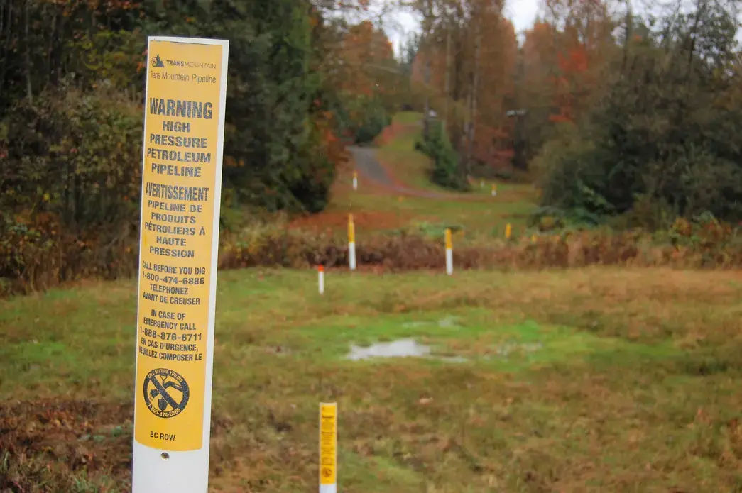 Yellow signs mark the path of the Trans Mountain pipeline. Image by Megan O'Toole. Canada, 2019. Yellow signs mark the path of the Trans Mountain pipeline. Image by Megan O'Toole. Canada, 2019.
