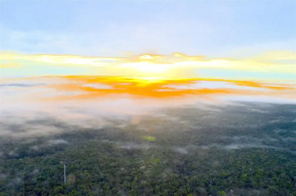 The view from the Amazonian Tall Tower Observatory (ATTO), the tallest tower south of the Rio Grande, 1,000 feet in the air, 100 miles NE of Manaus. Image by Dan Grossman. Brazil, 2016. Media file: dangrossman-laboratoryearth.jpg