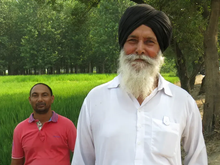 Joginder Singh, right, saves water by directly planting rice crop. Image by Lisa Palmer. India, 2015. Media file: img_1643.jpg