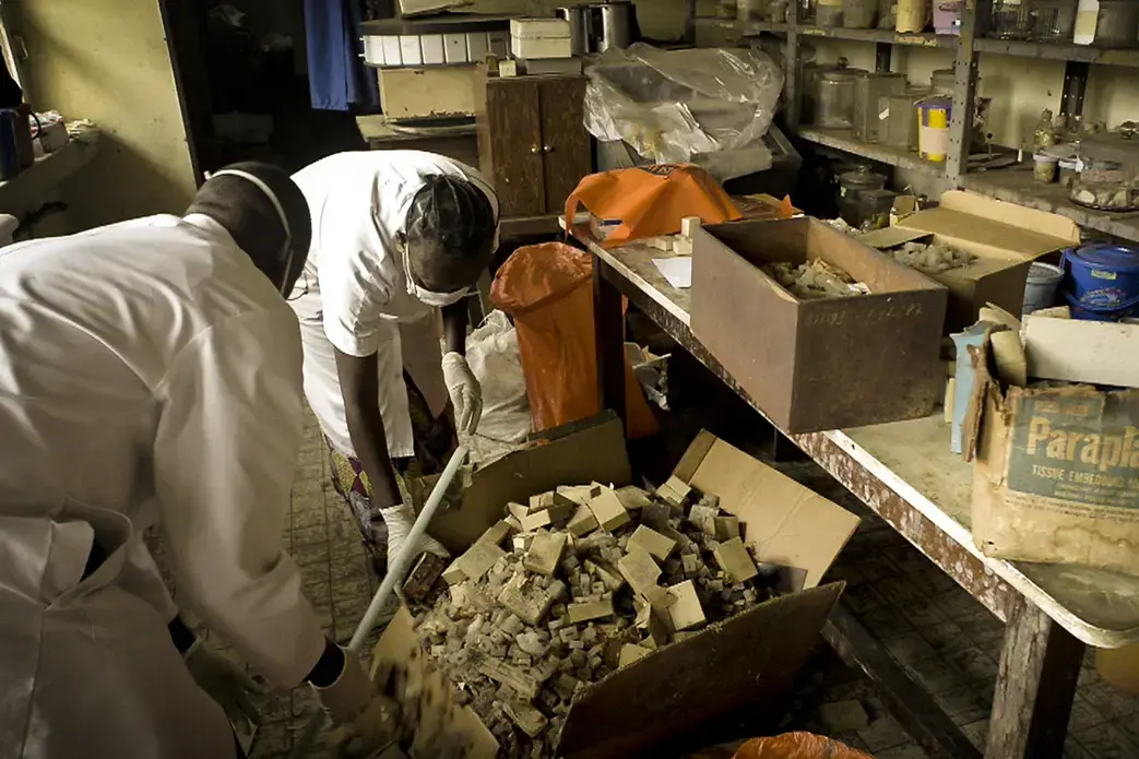 Digging through paraffin samples in the basement of a Kinshasa hospital. Image by Carl Gierstorfer. DRC, 2013. Media file: tbt_6.jpg