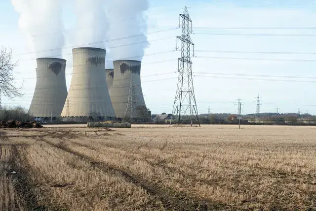 In the name of renewable energy, the British government is subsidizing the clear-cutting of the American Southeast. Image courtesy of Saul Elbein. United States, 2018. In the name of renewable energy, the British government is subsidizing the clear-cutting of the American Southeast. Image courtesy of Saul Elbein. United States, 2018.