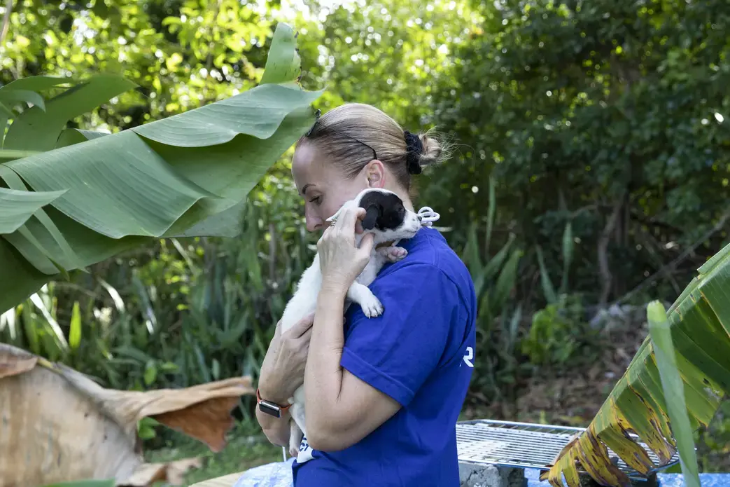 Chrissy Beckles, founder of The SATO Project, picks up one of the rescued puppies. She notes how its black eye reminds her of her dog Boom Boom. Image by Jamie Holt. United States, 2019.
