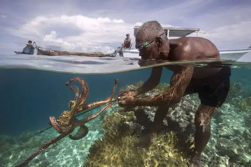 Tadi, a Bajau fisherman, spears an octopus in the south Sulawesi region of Indonesia. Hundreds of millions of people, including Northwest oyster growers, gather marine life threatened by changing seas. But Tadi’s village depends so thoroughly on troubled coral reefs that climate change and shifting sea chemistry eventually could make it challenging to find food. Image by Steve Ringman. Indonesia, 2013. Media file: tadi-bajau_fisherman.jpg