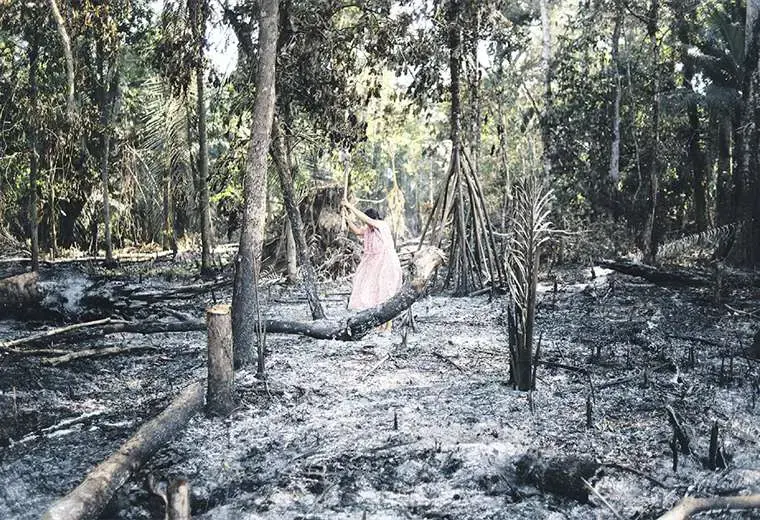 Image by Manuel Seoane. Bolivia, 2019.