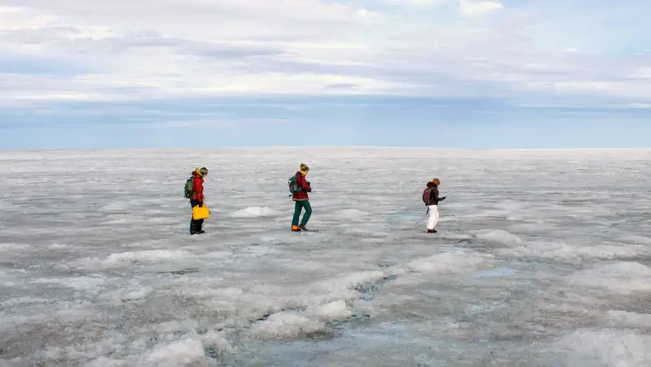 The Greenland ice sheet holds enough water to raise sea levels roughly 23 feet if it were to melt completely. On a recent research trip, students Rosie Leone, Aidan Stansberry and Ian MacDowell used radar to map the bed of rock and soil below the ice sheet to figure out how parts of the ice sheet may move toward the ocean. Image by Amy Martin. Greenland, 2018. The Greenland ice sheet holds enough water to raise sea levels roughly 23 feet if it were to melt completely. On a recent research trip, students Rosie Leone, Aidan Stansberry and Ian MacDowell used radar to map the bed of rock and soil below the ice sheet to figure out how parts of the ice sheet may move toward the ocean. Image by Amy Martin. Greenland, 2018.