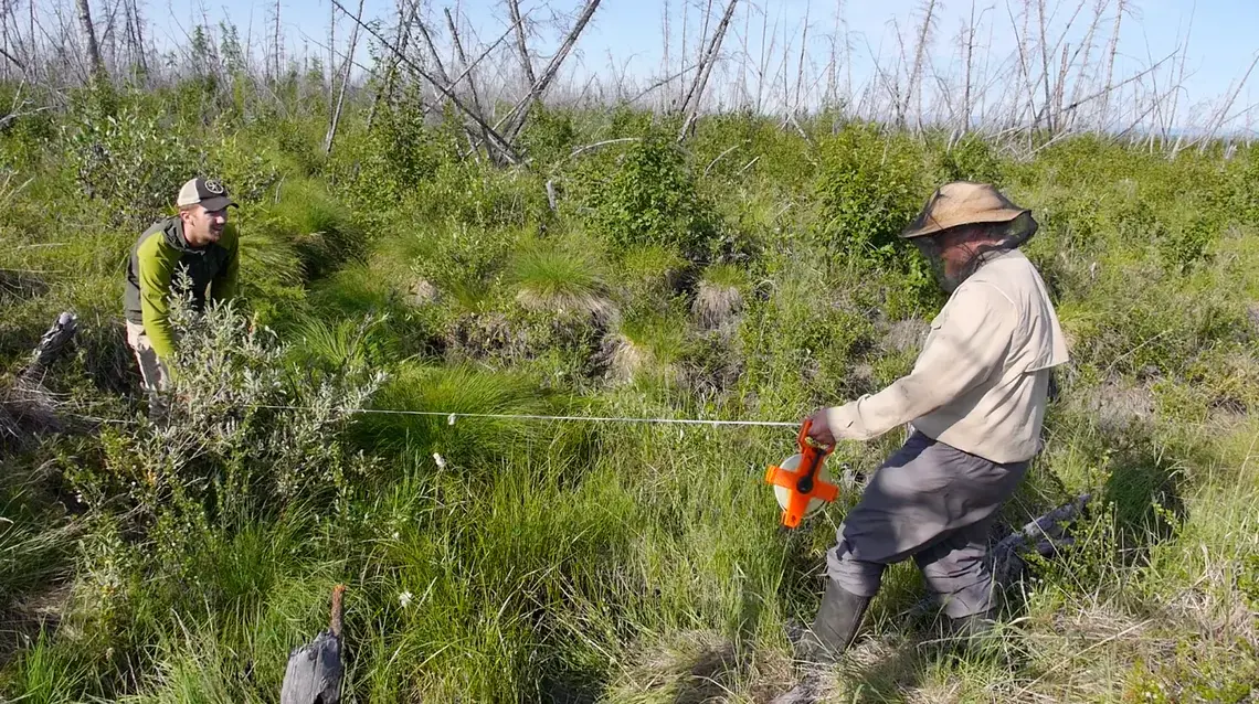 Scientists call this arctic forest, ravaged by fire, "Hellhole." As more and more northern forests burn, researchers want to know whether fire will speed the destabilization of the permafrost, releasing massive bubbles of carbon. Image by Eli Kintisch. Russia, 2015. Media file: screen_shot_2015-07-28_at_3.34.10_pm.png