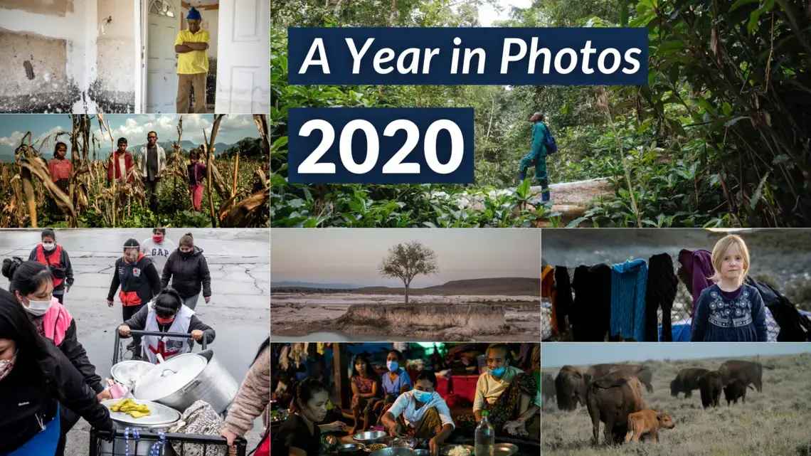2020: A Year in Photos 2020: A Year in Photos