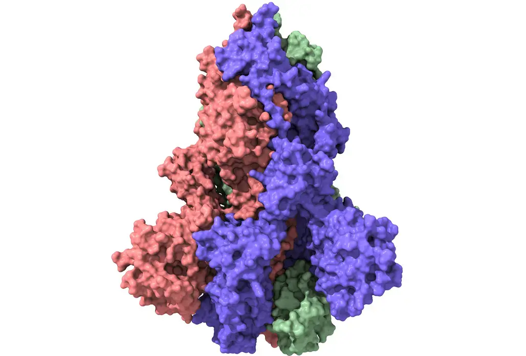 For a potential COVID-19 vaccine, the spike protein (structural model pictured) of the pandemic coronavirus was stabilized by a bit of an HIV protein. Image by Volodymyr Dvornyk / Shutterstock. For a potential COVID-19 vaccine, the spike protein (structural model pictured) of the pandemic coronavirus was stabilized by a bit of an HIV protein. Image by Volodymyr Dvornyk / Shutterstock.