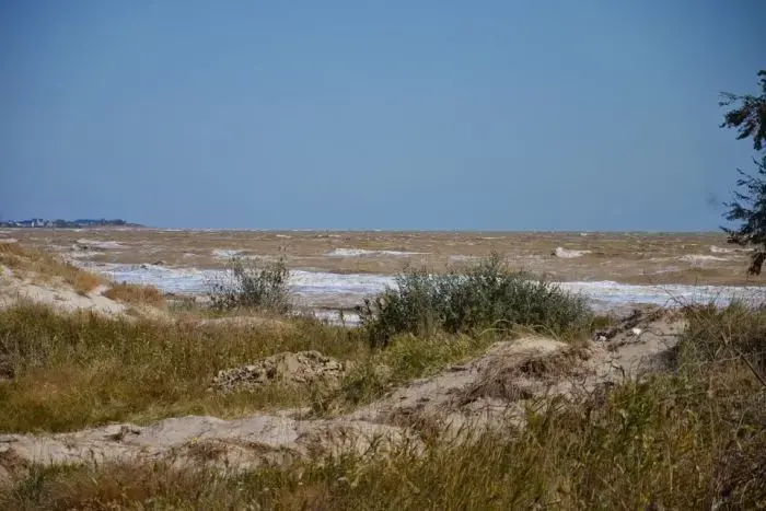 The Azov Sea at Priazovskii National Park. Image by Dimiter Kenarov. Ukraine, 2014. Media file: 5939332-3x2-700x467.jpg