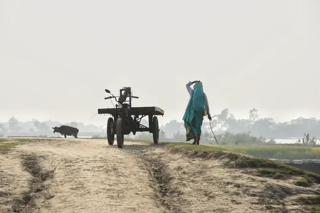 In Khulna, the Polder 32 area. Image by Tanmoy Bhaduri. Bangladesh, 2017.