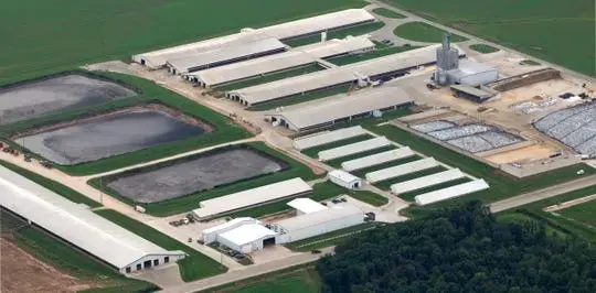The Wiese Brothers dairy farm in Greenleaf in Brown County is in the lower Fox River watershed. It is one of the largest dairy operations in the state. DNR figures show 6,000 milking and dry cows, in addition to other cattle. Image by Mark Hoffman. United States, 2019. The Wiese Brothers dairy farm in Greenleaf in Brown County is in the lower Fox River watershed. It is one of the largest dairy operations in the state. DNR figures show 6,000 milking and dry cows, in addition to other cattle. Image by Mark Hoffman. United States, 2019.