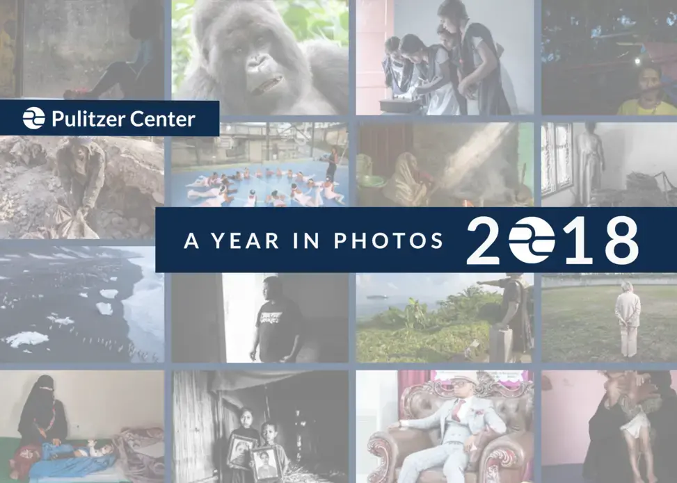 A Year in Photos 2018. Graphic designed by Karena Phan. A Year in Photos 2018. Graphic designed by Karena Phan.