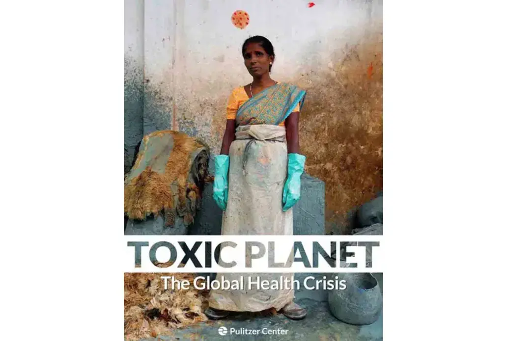 Women pluck hair by hand from goat hides soaked in an alkaline solution to loosen the fibers. This woman protects herself with gloves and a sheet of plastic wrapped around her sari as she works at a tannery outside Vaniyambad in the Vellore district of Tamil Nadu. Image by Larry C. Price. India, 2016.