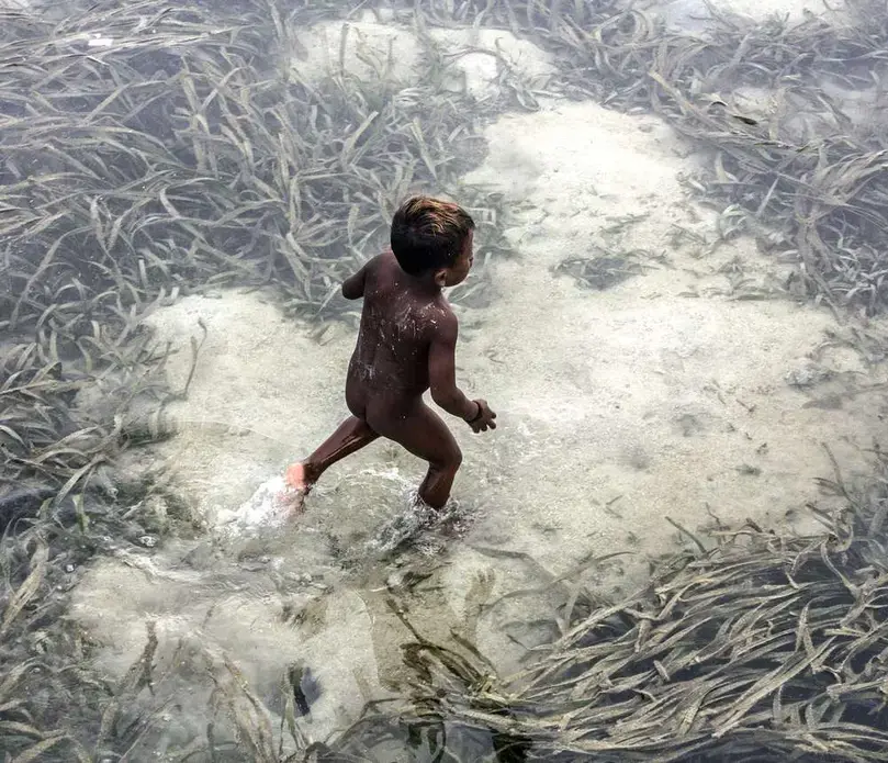 When the tide is out, children from the Bajau village scamper among the mud and seagrass. Image by Steve Ringman. Indonesia, 2013. Media file: 48b100db39ed25141b1646585d10e27b.jpg
