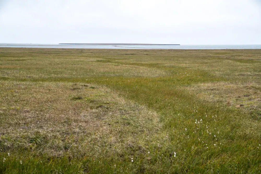 The coastal plain of the Arctic National Wildlife Refuge. Image by Nick Mott. United States, 2019.