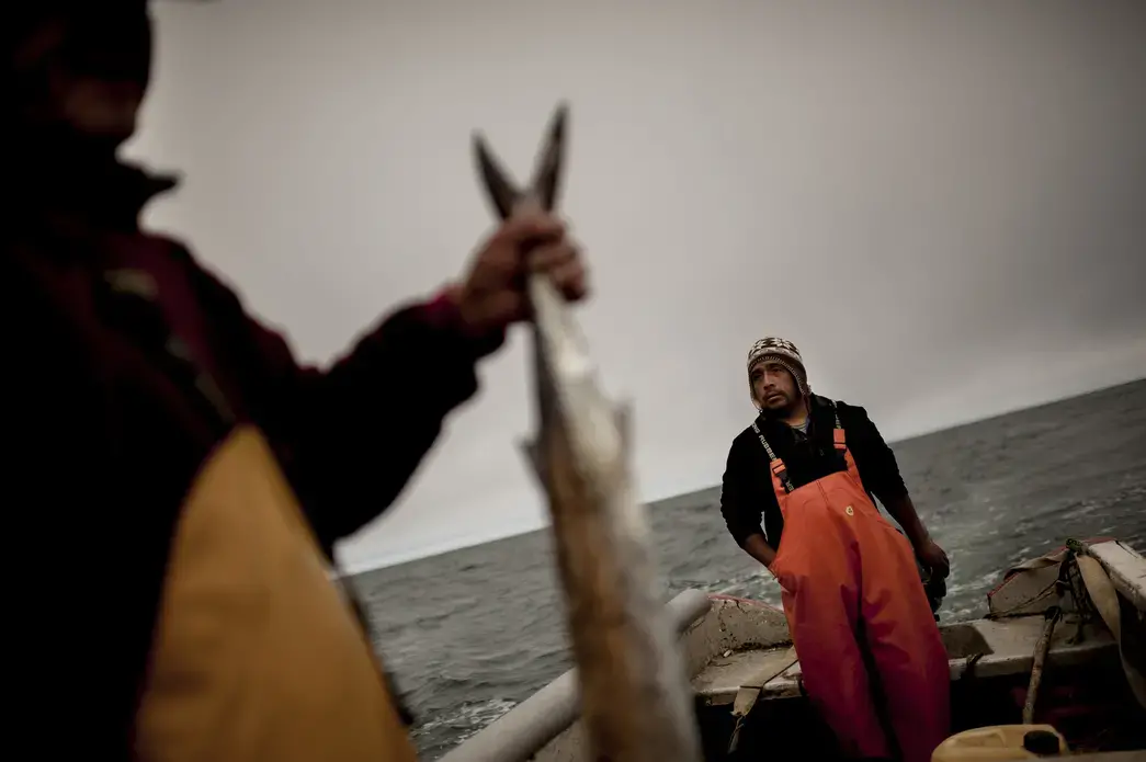 Don Jose Quinan (Lafkenche) sostiene una sierra que acaba de pescar, unica presa de esa mañana en la "Tonina" capitaneada por Miguel Barrientos pdte del sindicato de pesca de Bonifacio./ Mr Jose Quinan (Lafkenche) holding a fish, the only prey that bad morning fishing in the "Tonina" boat, led by Miguel Barrientos. President of Union Boniface fishing. /Fernando Rodriguez C © Media file: 12. Bonifacio-10.jpg