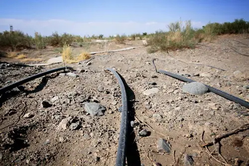 Water pipes run throughout the park to irrigate the plants being used for research. 1