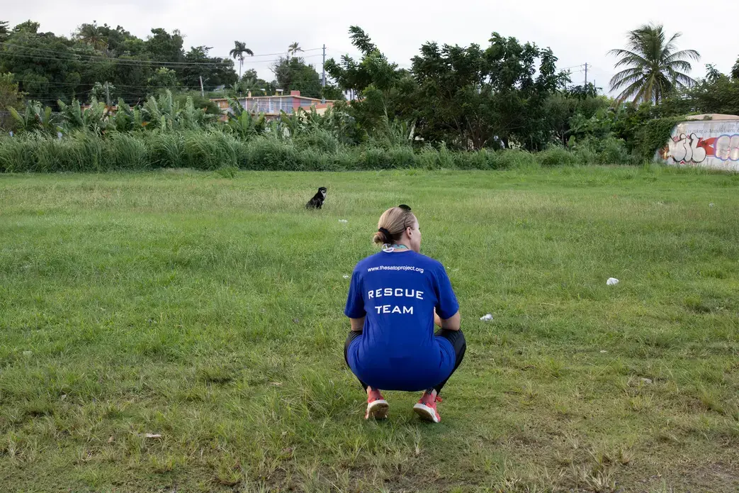 Beckles crouches down to approach the dog slowly and cautiously. Crouching down brings you to their level, helping lower the risk of frightening them. Image by Jamie Holt. United States, 2019.