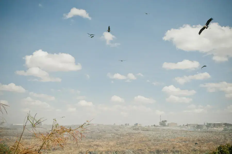 Image by Micah Albert. Kenya, 2012. Media file: 20120329-_DSC7099.jpg