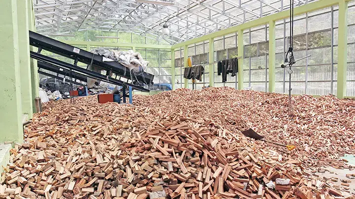  Wood chips to fuel the Saliguna PLTBm in Siberut last July. Image by Febrianti/Tempo. Indonesia, 2020.
