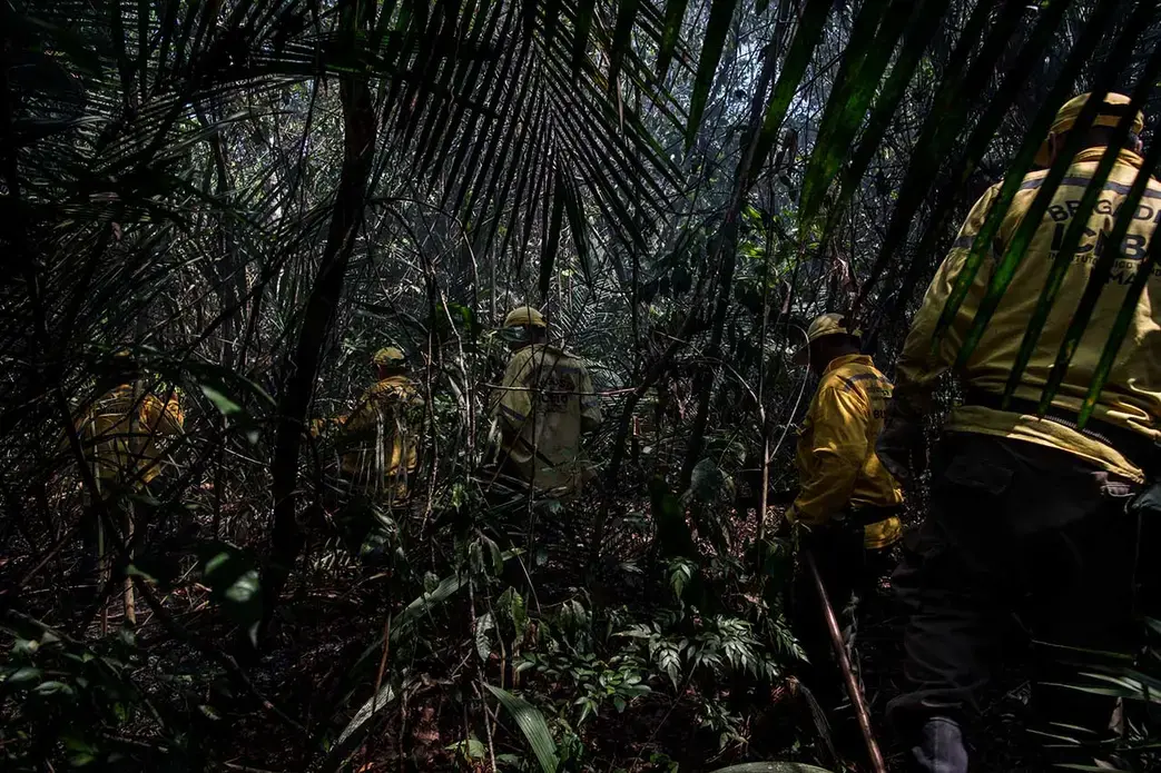 Brigadeiros do ICMBio arriscam a própria vida ao entrar na Floresta Nacional do Tapajós em busca de incêndios florestais. Imagem de Flavio Forner. Brasil, 2020.