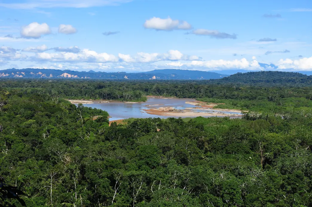 Amazon forest in the Madidi National Park. Image by Toniflap / Shutterstock. Bolivia, undated. Amazon forest in the Madidi National Park. Image by Toniflap / Shutterstock. Bolivia, undated.