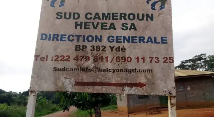 Image fournie par Panorama Papers. Cameroun, non daté.