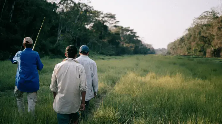 Maraca'tunsi community members walk the airstrip that enabled the San Ambrosio company in the middle of the Benyan Amazon. Image by Manuel Seoane. Bolivia, 2019.