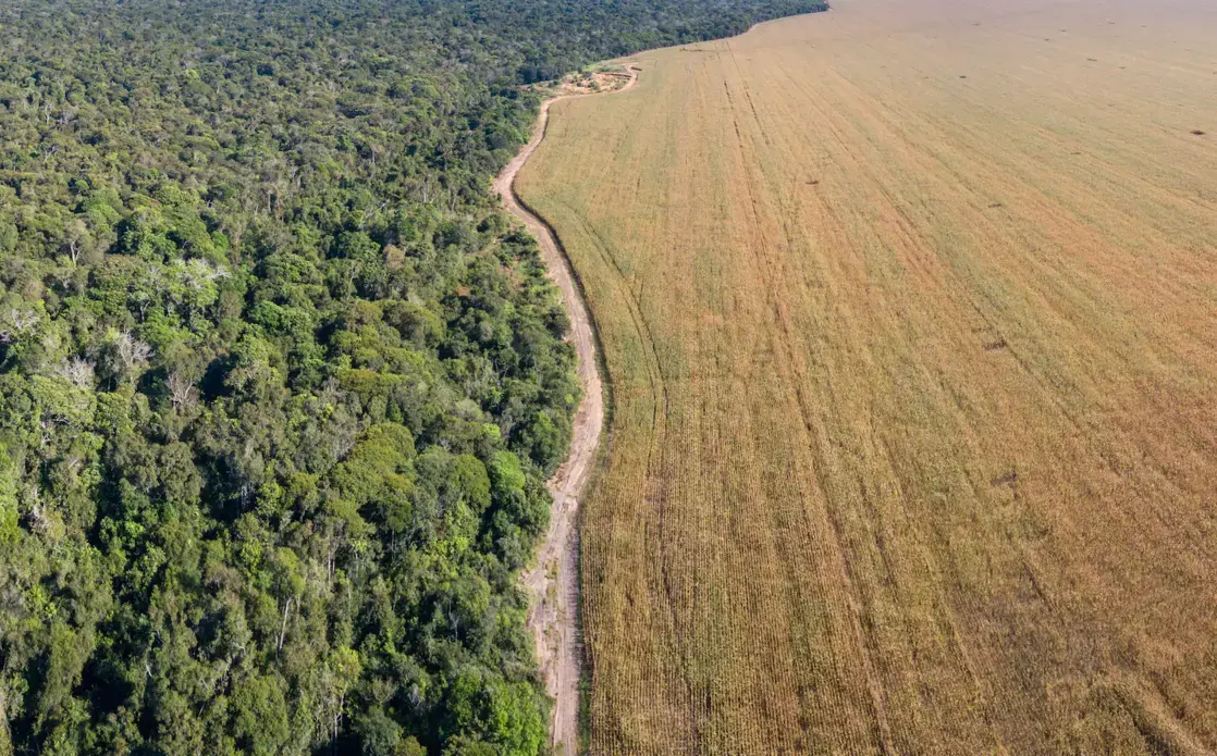 Aerial view of Xingu Indigenous Park territory and soybean farms in Mato Grosso. Aerial view of Xingu Indigenous Park territory and soybean farms in Mato Grosso. Image courtesy of Shutterstock. Brazil, date unknown.