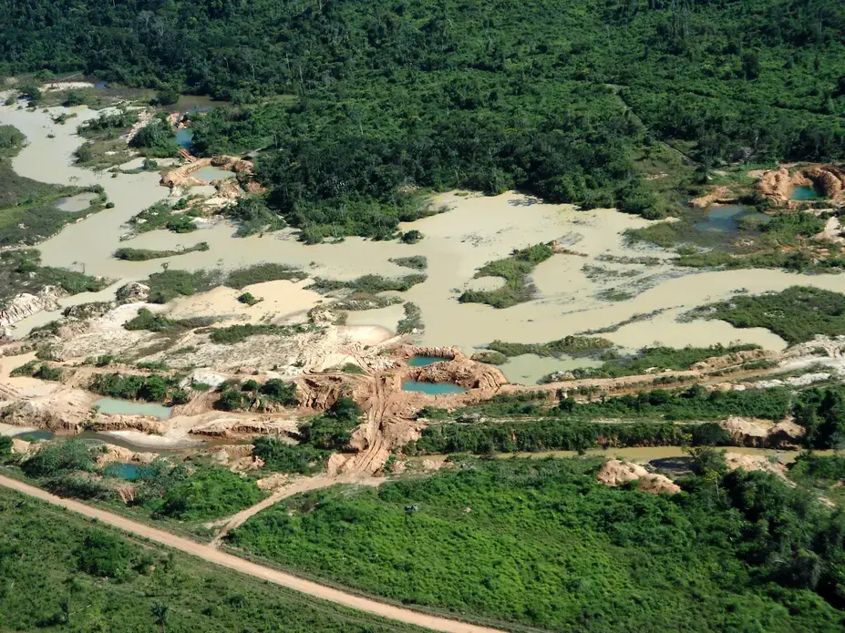 Aerial view of gold mining area in Amazon forest region in Pará. Image by Tarcisio Schnaider/Shutterstock. Brazil, date unknown.