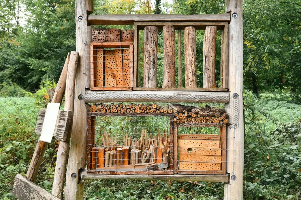 Insect house hotel made out of natural wood material created to provide shelter for insects to prevent their extinction. Image by Shutterstock.