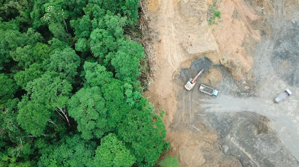Rainforest in Borneo, Malaysia destroyed to make way for oil palm plantations. Image by Rich Carey/Shutterstock. Malaysia, date unknown.