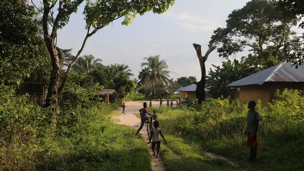 Communities living in the Congo Basin rainforest are being granted large tracts of land to manage sustainably