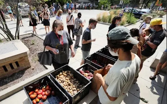 A "harvest handout" on the University of Wisconsin-Madison campus facilitated by F.H. King Students for Sustainable Agriculture. Image courtesy of Cooper Hamilton. United States, 2020.