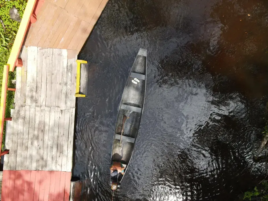 Photo of an igarapé, a large stream that serves as the lifeblood for so many quilombola communities in the Amazon region as a source for food and water and medium of transport.