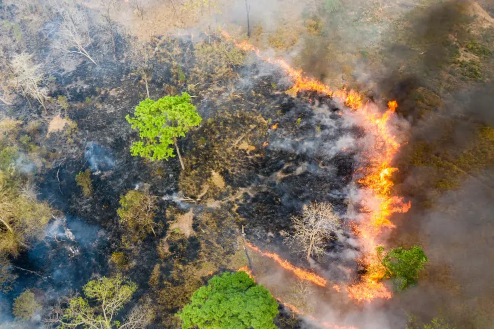 Burning forest at Phnom Tnout Wildlife Sanctuary in northern Cambodia.