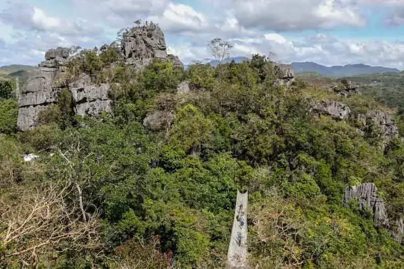 This February 7, 2021 photo shows Masungi Georeserve in Baras, Rizal. The georeserve, known for its 60-million-year-old limestone formations, was restored after 20 years of protection. Image by Philstar.com/EC Toledo IV. Philippines, 2021. Aerial view of limestone formations surrounded by trees