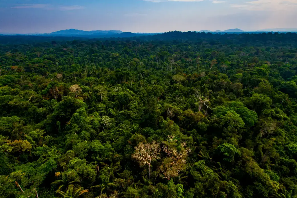 Aerial photograph of the Amazon rainforest