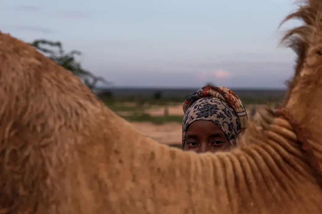 A girl peers over an object, by which her face is half-obscured.