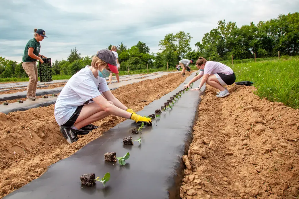 People plant seeds at a farm.