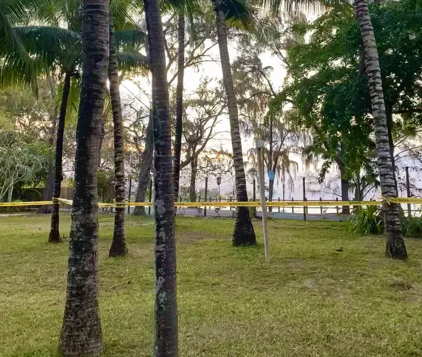Yellow tape is tied between palm trees. There is a street in the background.