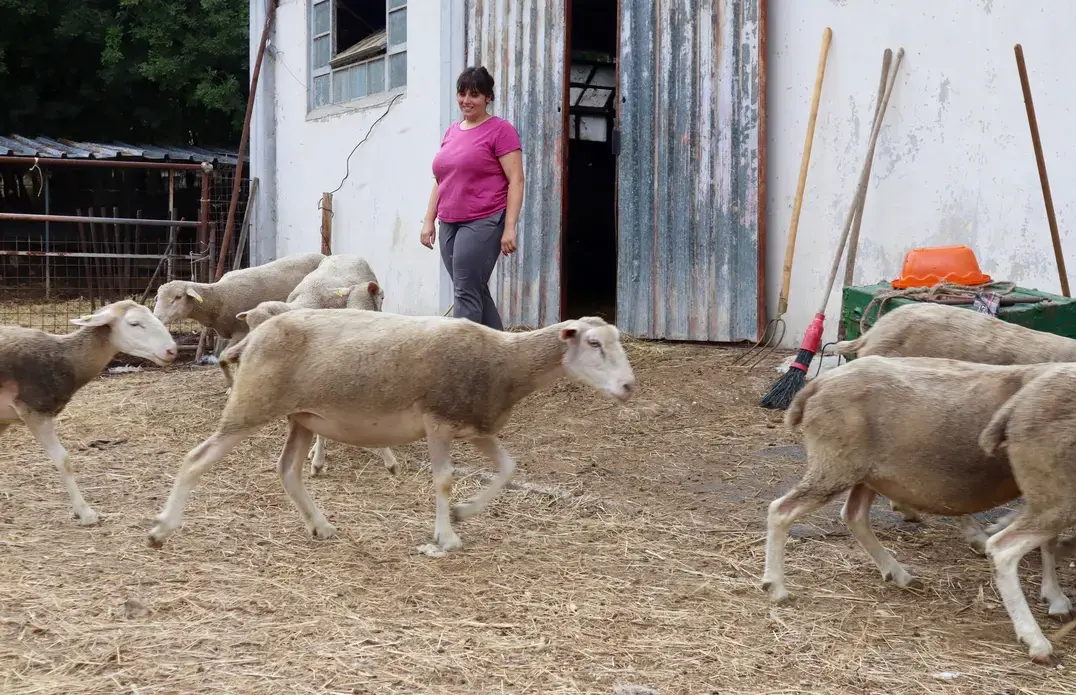 1707_Jessica (1).jpg woman herds her goats
