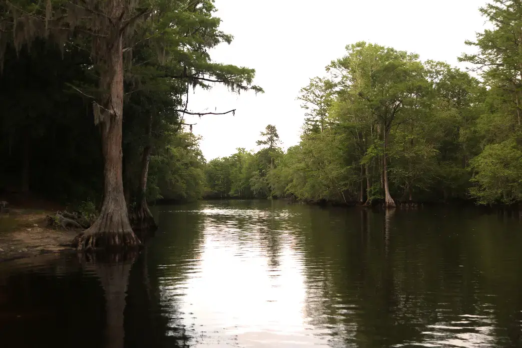 Lumber River