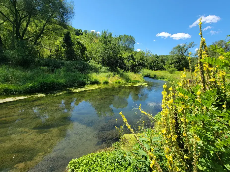 71.jpg Bloody Run Creek in Iowa