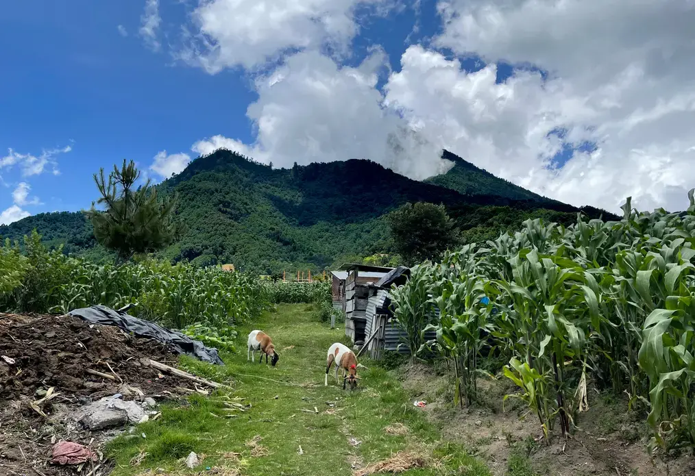 landscape in Guatemala